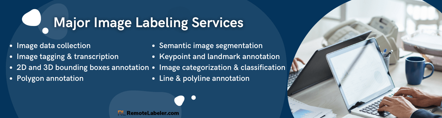 main image labeling services