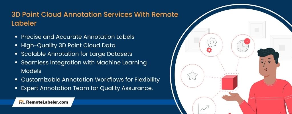 3D Point Cloud Annotation Services With Remote Labeler