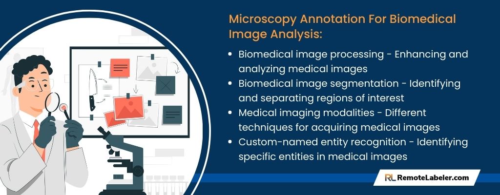 Microscopy Annotation For Biomedical Image Analysis