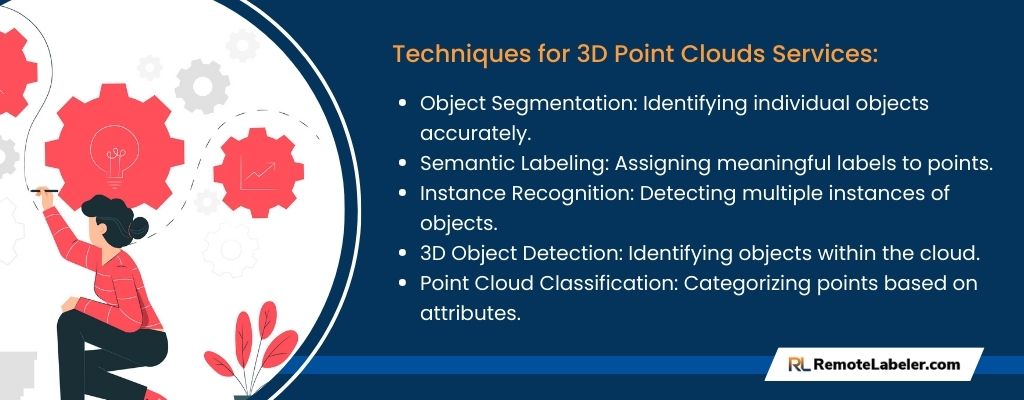 Techniques for 3D Point Clouds Services