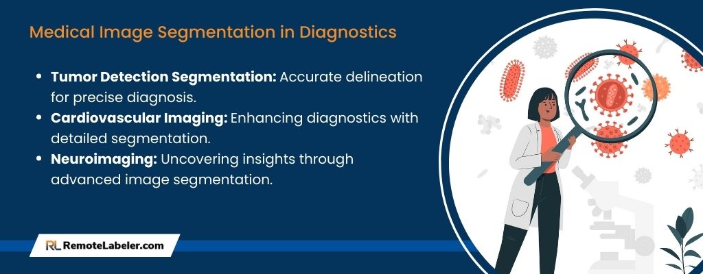 Medical Image Segmentation in Diagnostics